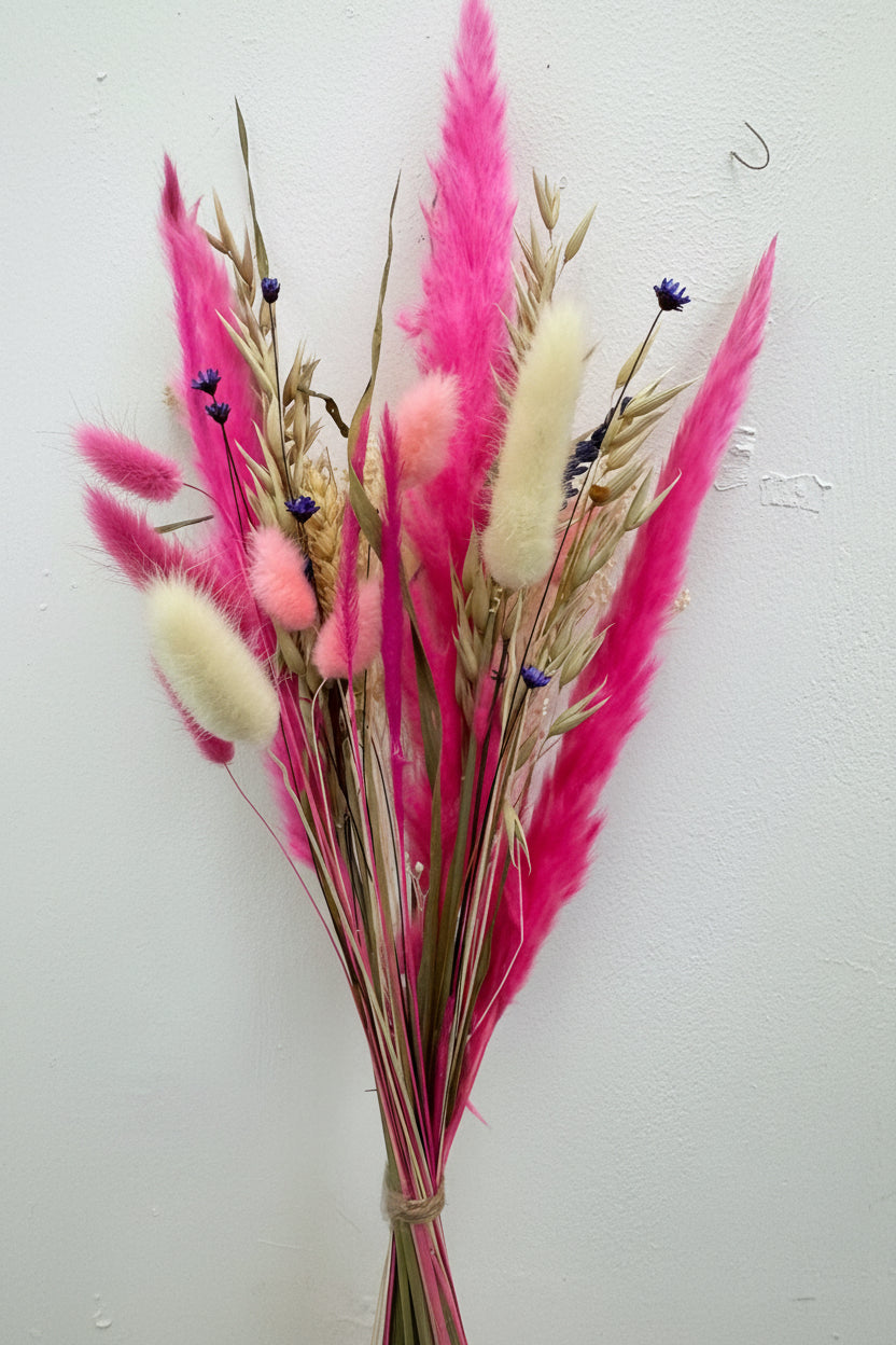 A dried floral arrangement featuring bright pink and pale pink fluffy grasses, cream bunny tail plumes, tan wheat-like stems, and small dark blue flowers, tied at the base and photographed against a plain off-white wall.