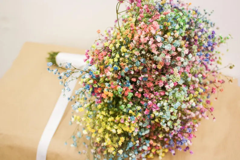 Rainbow Dried Gypsophila Wedding Bouquet