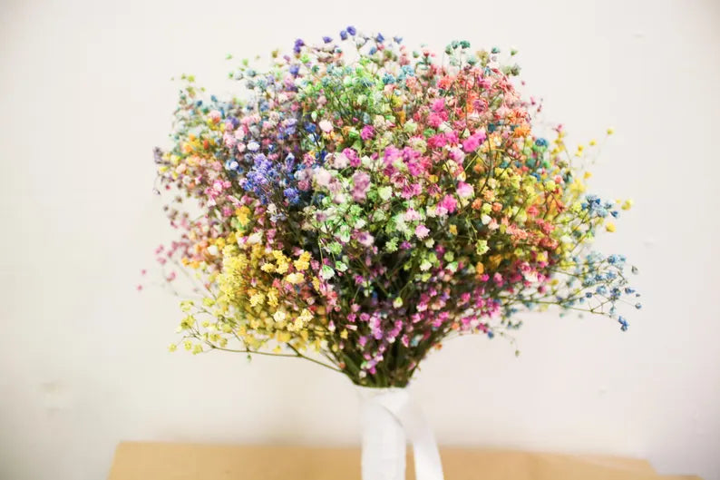 Rainbow Dried Gypsophila Wedding Bouquet