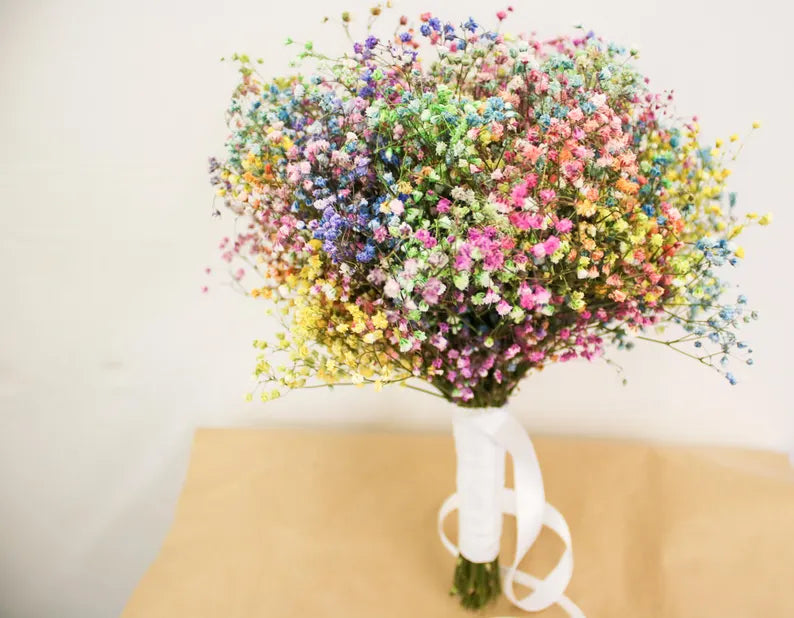 Rainbow Dried Gypsophila Wedding Bouquet