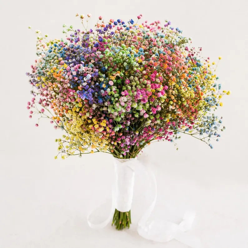 Rainbow Dried Gypsophila Wedding Bouquet