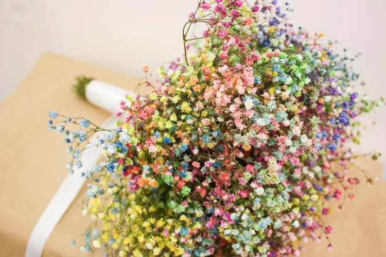 Rainbow Dried Gypsophila Wedding Bouquet