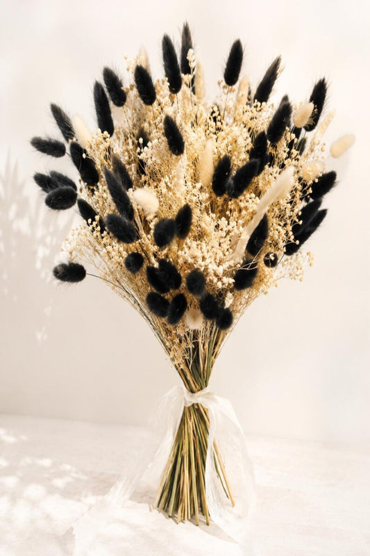 Monochrome Dried Flower Bouquet | Black & Cream Bunny Tail Arrangement
